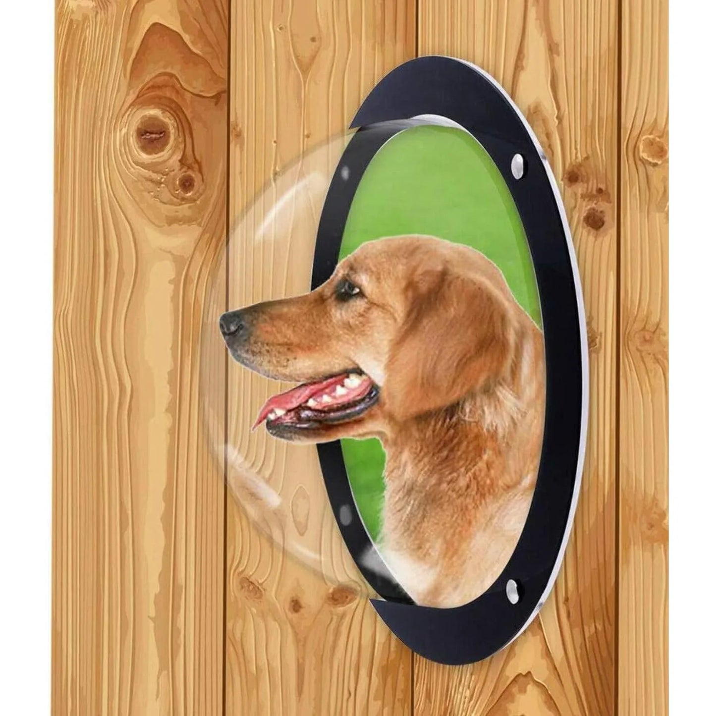 12.4" Round Clear Acrylic Portal for Dogs/Cats